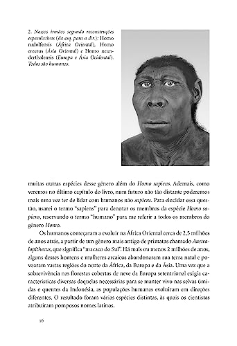 Sapiens (Nova edição): Uma breve história da humanidade