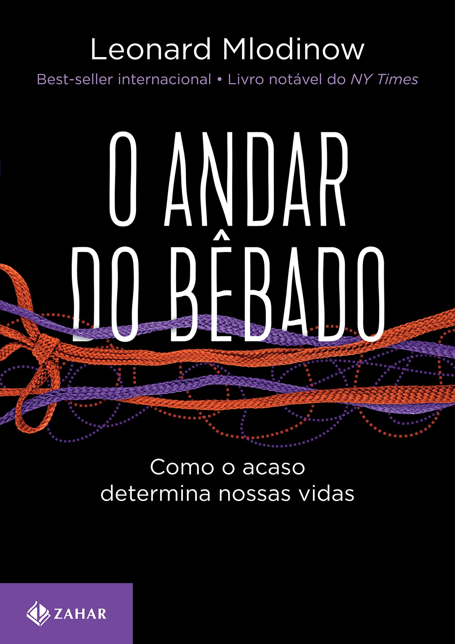 O andar do bêbado: Como o acaso determina nossas vidas