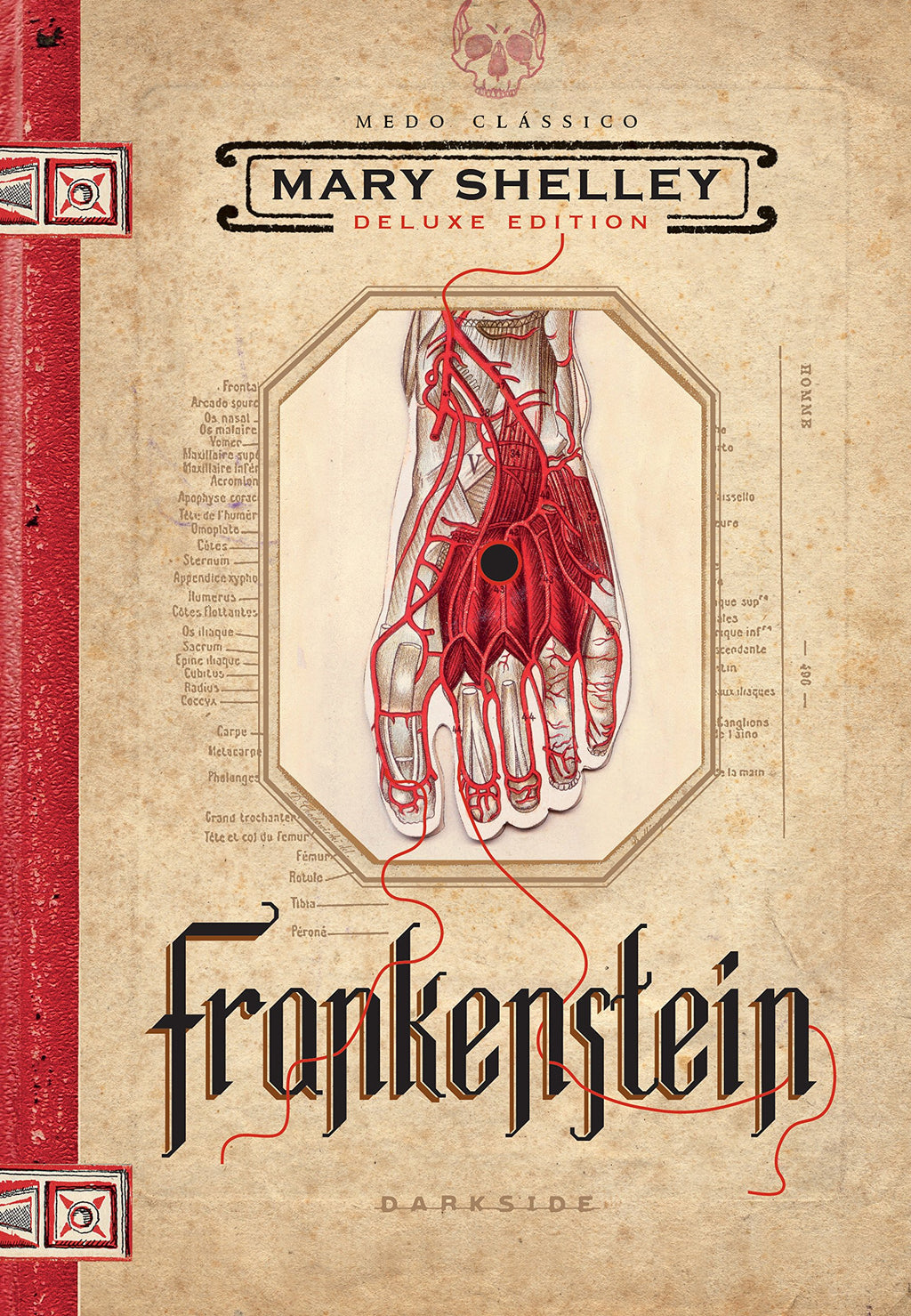 FRANKENSTEIN, OU O PROMETEU MODERNO - EDIÇÃO ILUSTRADA DO CLÁSSICO DE MARY SHELLEY: O clássico está vivo!